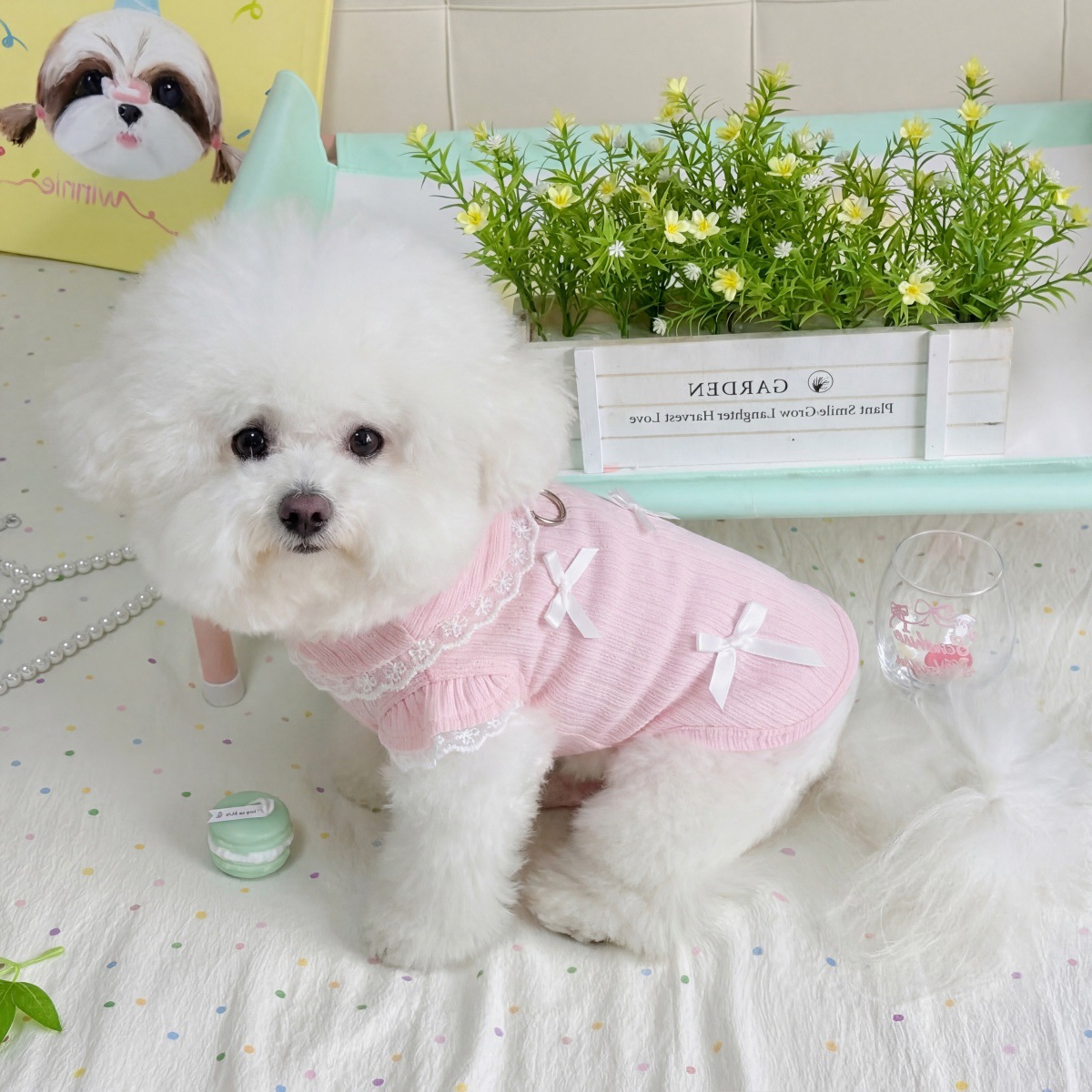 Pet Spring Lace Bow Vest kan T - Lace Teddy Lingerie recensie en prijs